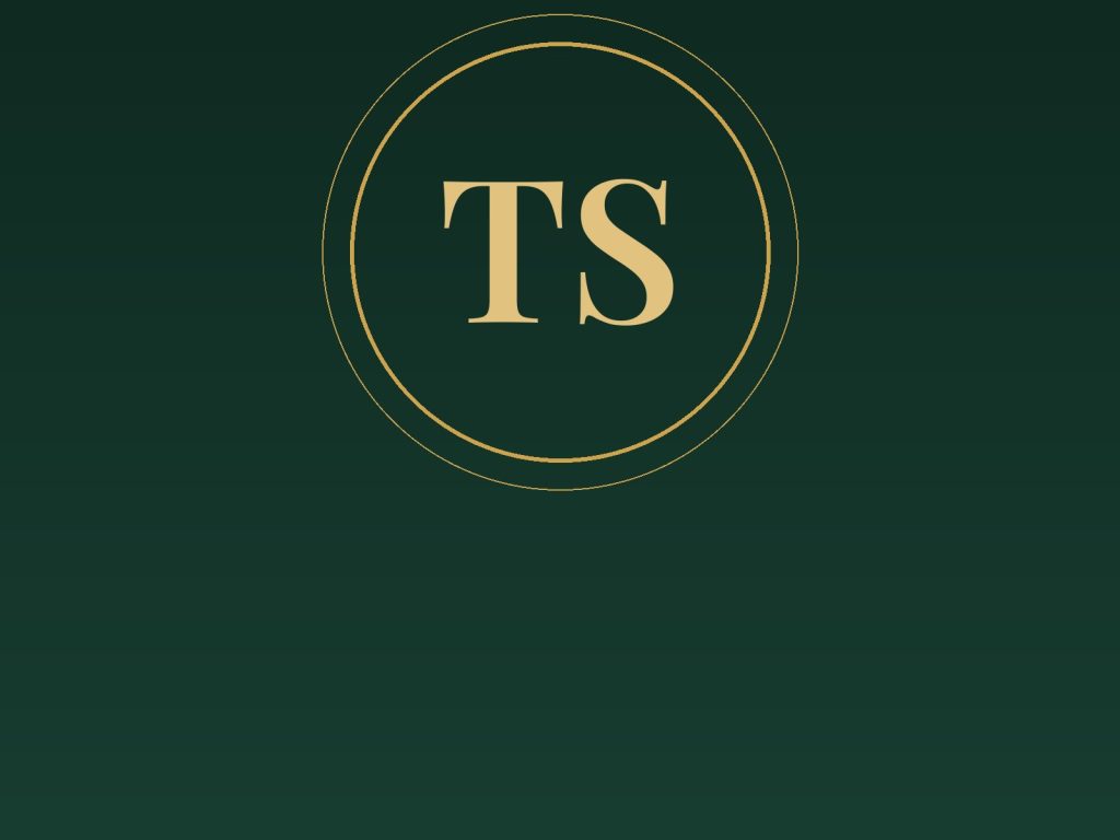 The Station logo